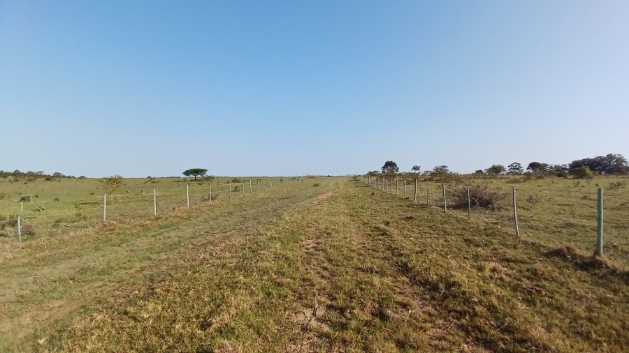 Commercial Property for Sale in Bathurst Eastern Cape